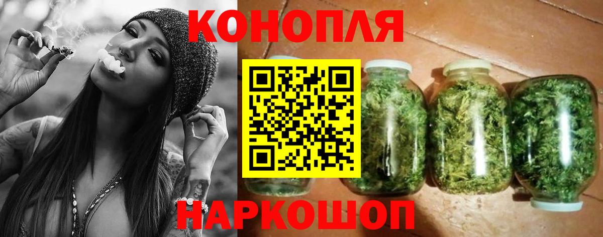 Конопля сатива Костомукша